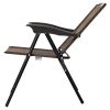 Beach & Garden Lawn 4 Pcs Folding Sling Chairs With Steel Armrest And Adjustable Back